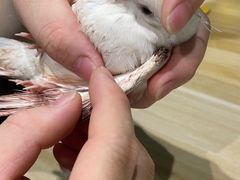 -雨林宠物医院 非犬猫异宠专科