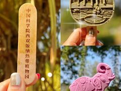 -中国科学院西双版纳热带植物园
