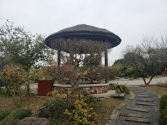 -无锡梅园公园