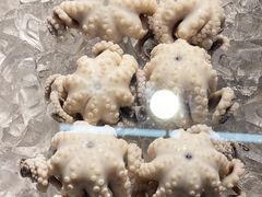 -铭聚章鱼土笋冻(松柏店)