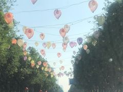 -清真重庆巴爷香辣鸡煲(南小巷店)