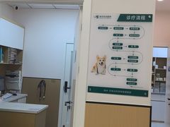 -瑞派康怡24h宠物医院·犬猫医疗中心·微创绝育(瑞景分院)