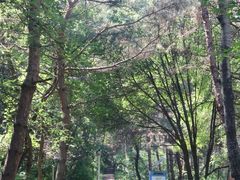 -帽儿山国家森林公园