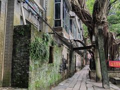 -小洲村