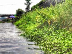 -仙山谷激浪漂流