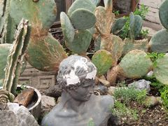 -Jo's Garden