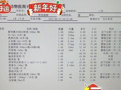 -瑞派·关忠动物医院·异宠专科·犬猫肿瘤·皮肤专科(望京店)