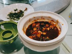-三强鸽子(中原路店)