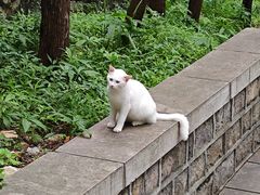 -四门塔风景区