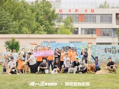 -趣玩宠物乐园寄养训犬训狗游泳池