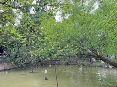 -宁波杭州湾国家湿地公园