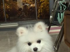 -它主义宠物(梁溪万达店)