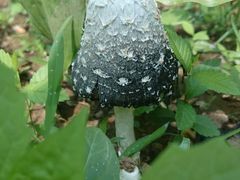 -北京宽沟会议中心