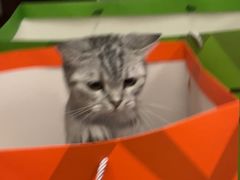 -千家粗粮王(MOMOPARK店)