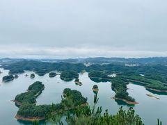 -逸廊大堂吧-下午茶·简餐-千岛湖自由洲际殿