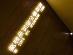 -武商摩尔影城(国广IMAX激光店)