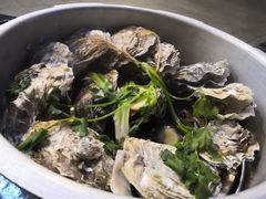 -千岛蚝高压锅生蚝·人参火锅(白云万达店)