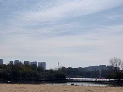 -青枫公园
