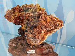 -中国第四纪冰川遗迹陈列馆