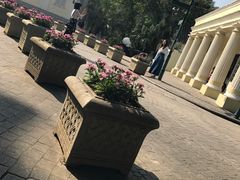 -龙环葡韵住宅式博物馆