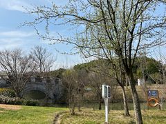 -昆山城市生态森林公园