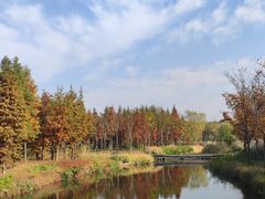 -溱湖国家湿地公园