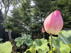 -东山雕花楼