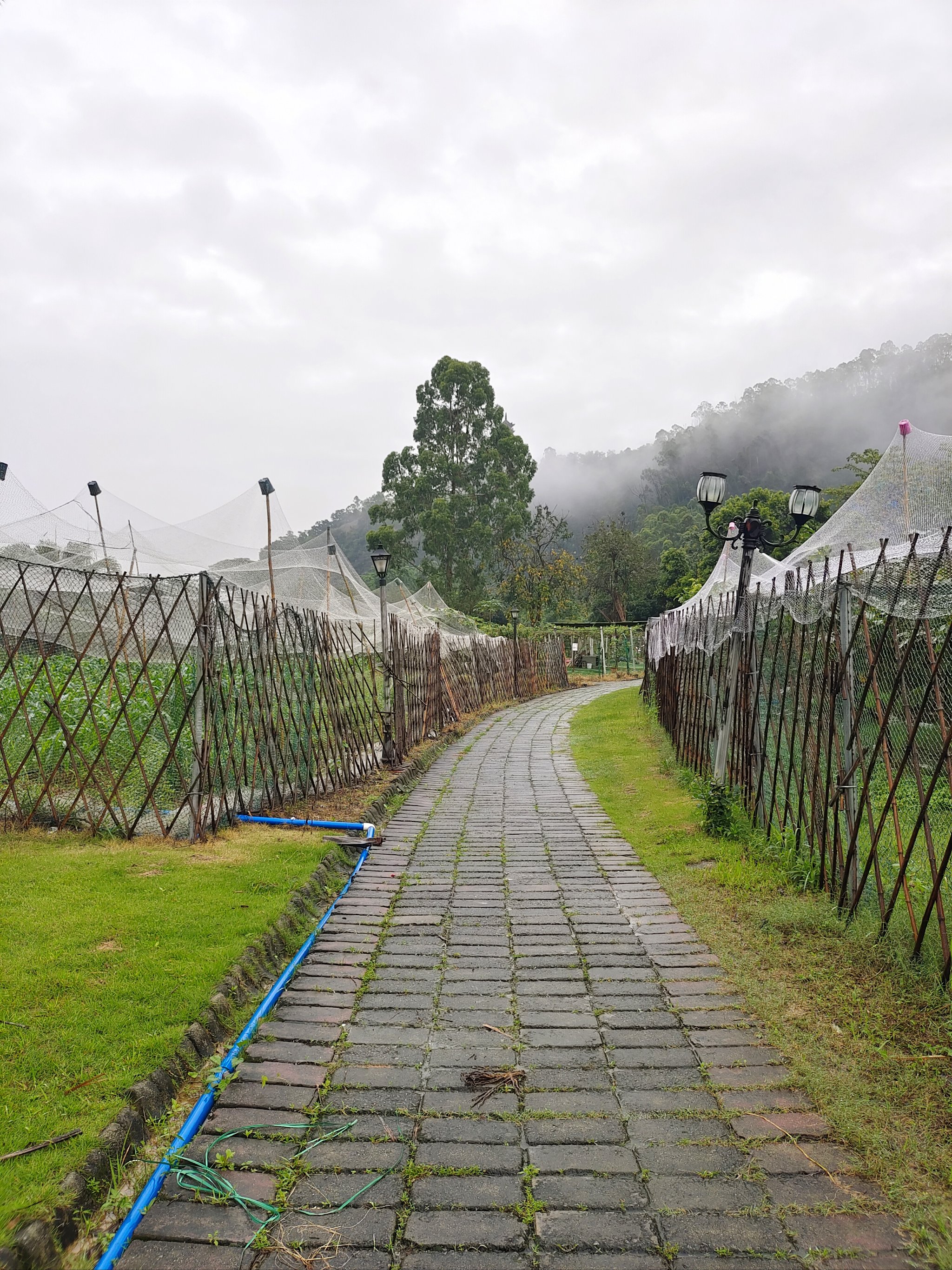 绿野山居景区门票图片