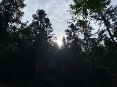 -武陵山森林公园