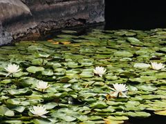 -碑林公园