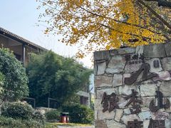 -黄陂区野村谷景区