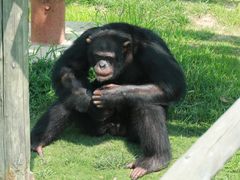 -西霞口神雕山野生动物世界