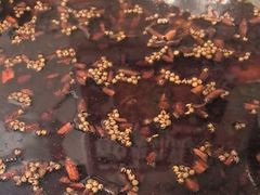 -味之绝热血美蛙鱼火锅(中坝店)