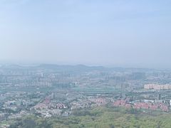 -紫金山山顶公园