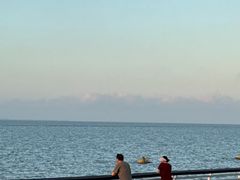 -贡湖湾湿地公园