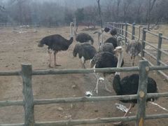 -西安秦岭野生动物园