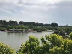 -东郊湿地公园