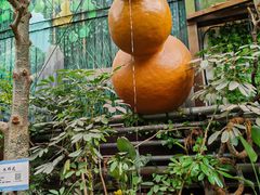 -呀路古热带植物园