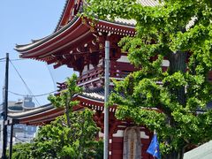 -浅草寺