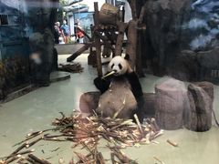 -鱼儿纸包鱼(常乐店)