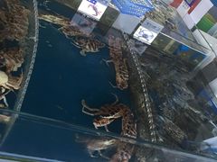 -清水湾3号(东方小周海鲜店)