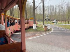 -黄海国家森林公园