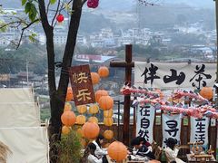 -伴山茶苑·围炉煮茶