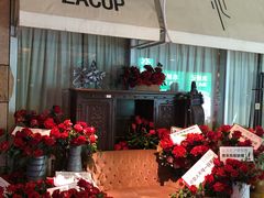 -杂咖zacup(领展中心城店)