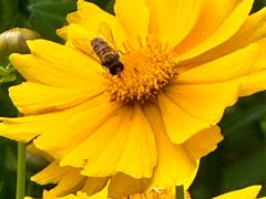 -昆山城市生态森林公园