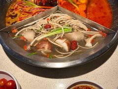 -小龙坎火锅(春熙太古里店)
