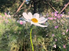 -回龙观体育文化公园