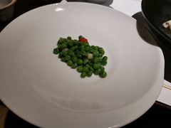 -觀芷隐轩