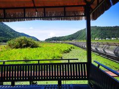 -腾冲北海湿地