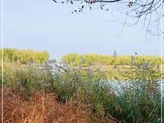 -大兴滨河森林公园